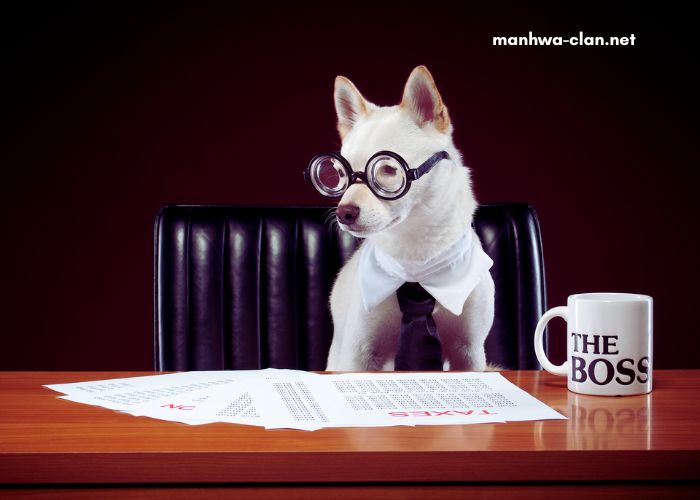 I Will Become Your Dog, Boss I Will Become Your Dog, Boss